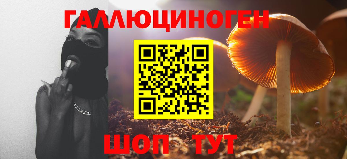 Псилоцибиновые грибы Cubensis Лангепас